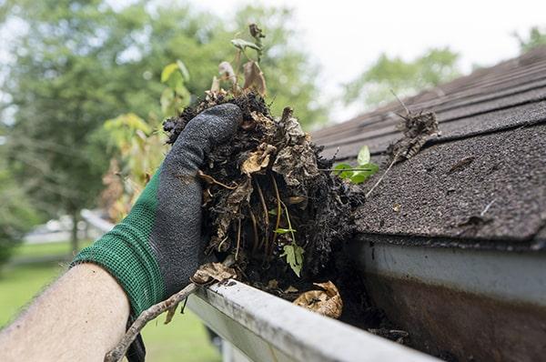 we can inspect the gutters for any damage or leaks during the gutter cleaning process